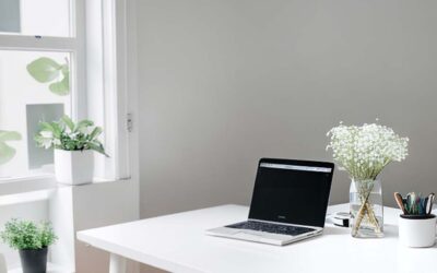 Flowers for Your Home Office to Boost Productivity